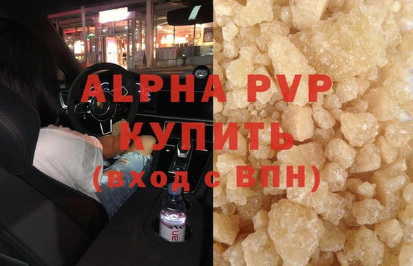 шишки Белокуриха