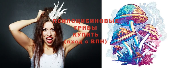 соль курить ск Богородск