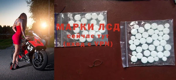 шишки Белокуриха