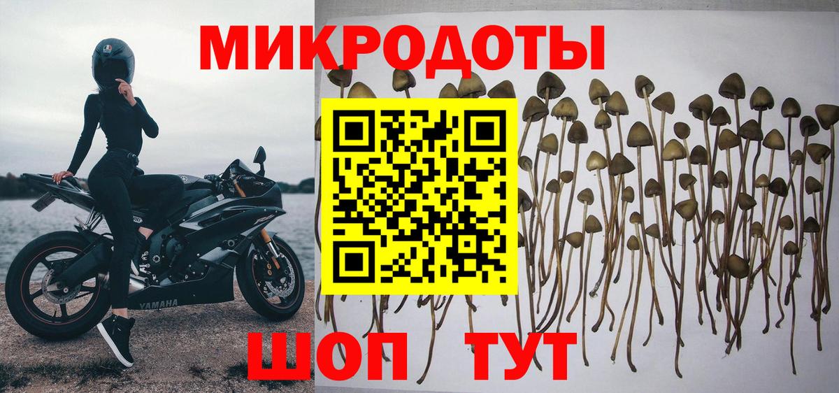 Псилоцибиновые грибы GOLDEN TEACHER Дагестанские Огни